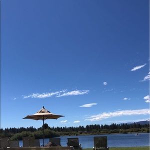 Meet your Posher, Bailey